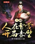 三国:人在曹营,开局赤壁