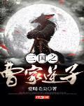 三国之曹家逆子