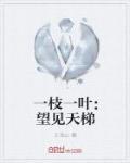 一枝一叶:望见天梯