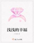 浅浅的幸福
