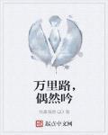 万里路,偶然吟
