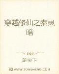 穿越修仙之秦灵暗