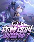原神:你管这叫驯兽师?