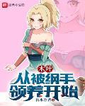 木叶:从被纲手领养开始