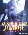 从宠物小蜘蛛开始进化