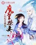 魔皇撩妻:狂妃不就范