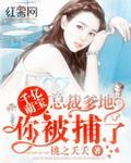 千亿萌宝:总裁爹地,你被捕了