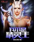 我不是精灵王