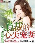 假婚真爱,总裁的心尖宠妻