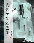 我的物品能进阶