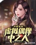 我的女友虚拟偶像中之人