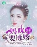 天才萌宝,妈咪要逃婚