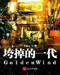 垮掉的一代GoldenWind