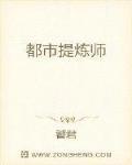 都市提炼师