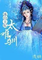 冰山王妃太难驯【完结】
