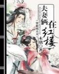 夫妻俩在红楼(贾赦邢夫人)