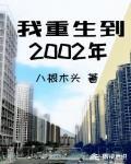 我重生到2002年