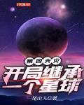 第四天灾：开局继承一个星球