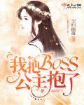 我把BOSS公主抱了