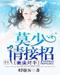 妻逢对手:莫少请接招