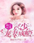 婚中试爱:言少宠妻成瘾