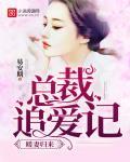 暖妻归来:总裁追爱记