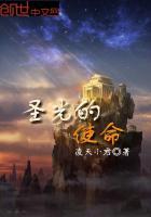 圣光的使命