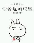 斗罗之你管这叫玩具