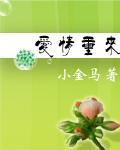我的生活我的城
