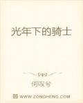 光年下的骑士